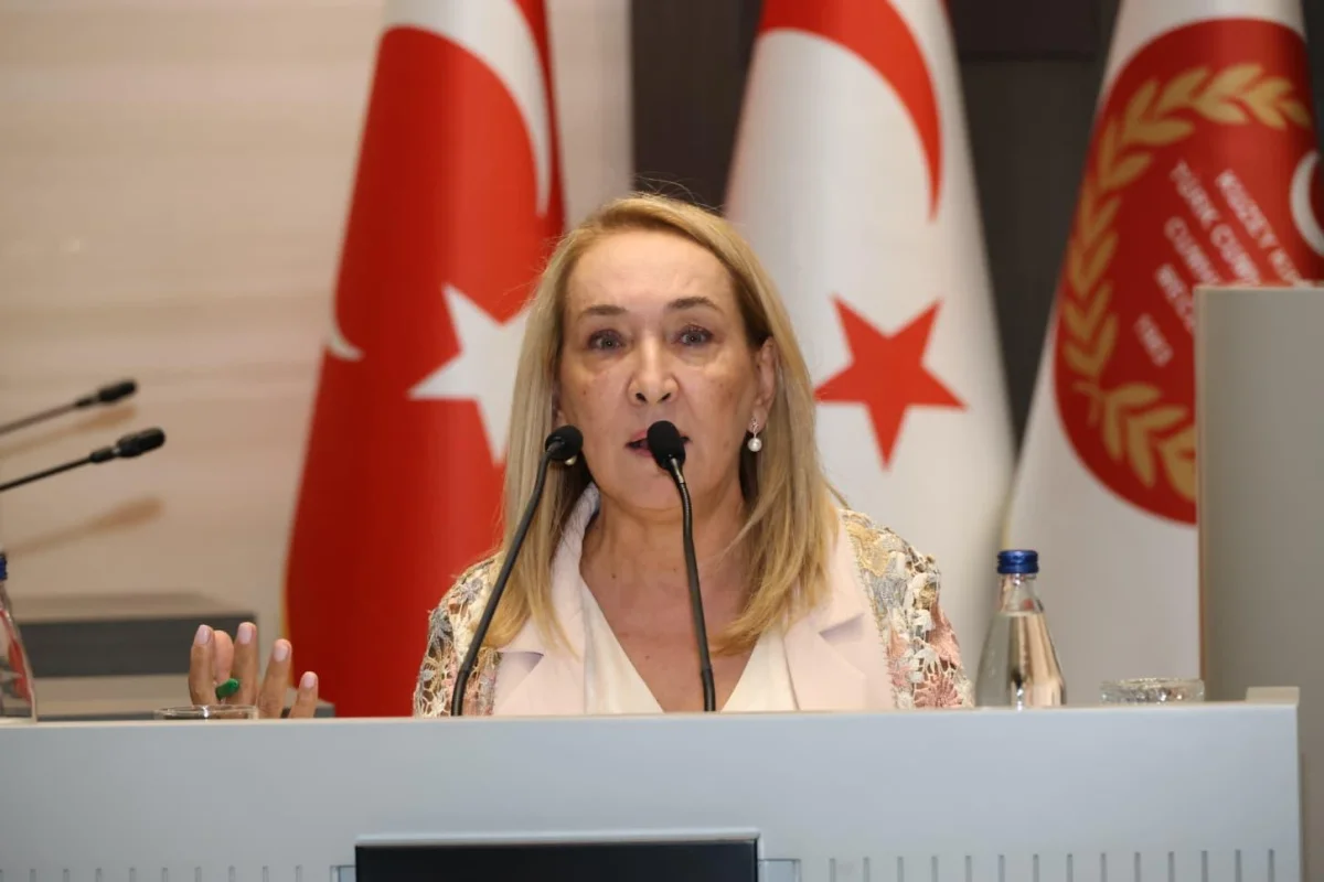 Besim: "Cumhurbaşkanının iade gerekçeleri dikkate alınmadı"